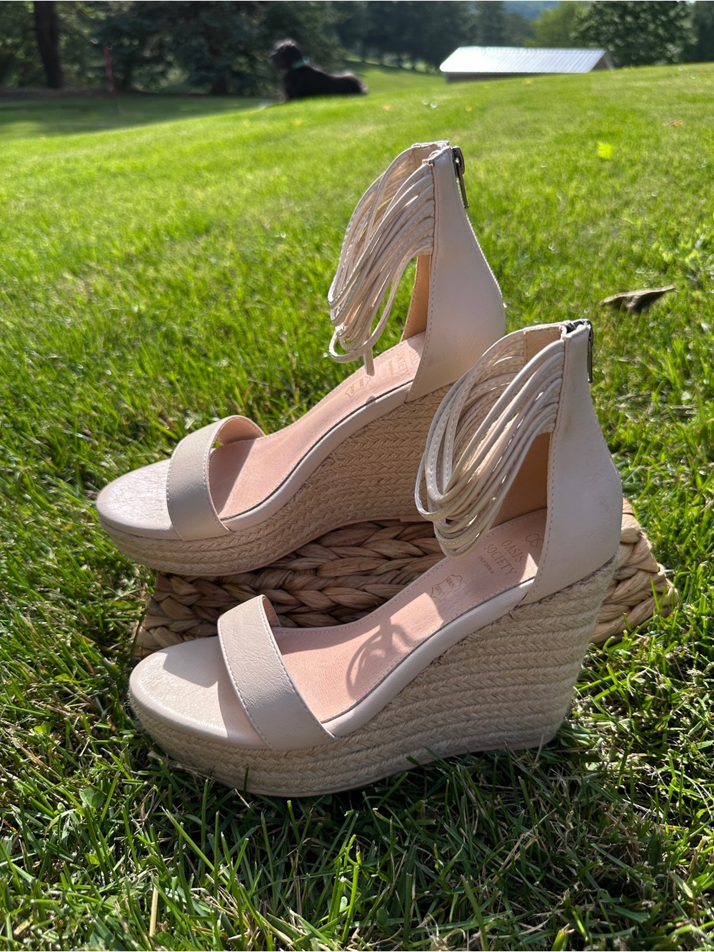 Women's Oasis Society Rosalie  Espadrille Ankle Wedge Sandals with Ankle Wrap - Picture 3 of 8